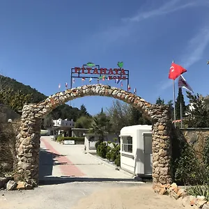 Oda ve Kahvaltı Pitahaya